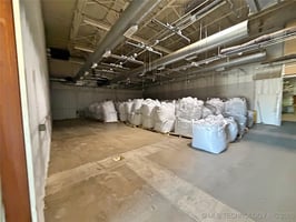 29505981
