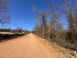 31403907