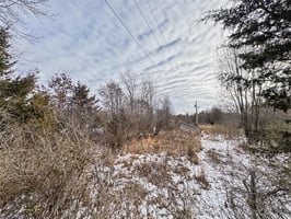 29506086
