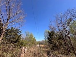 31403906