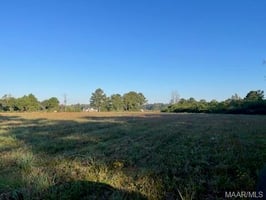 29506400