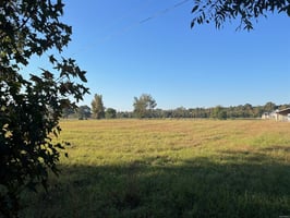 29506401