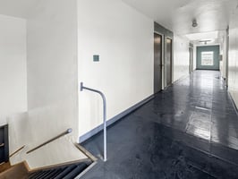 29508359