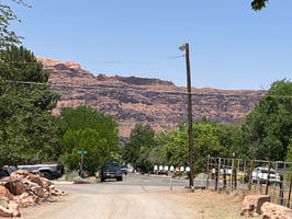 29508494