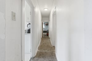 29508520