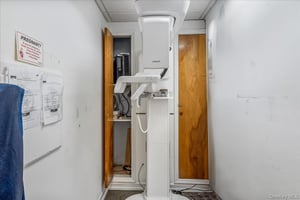 29508845
