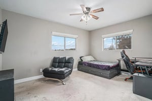 29509902