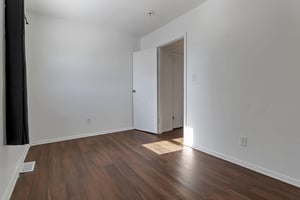29511094