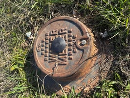 29511173