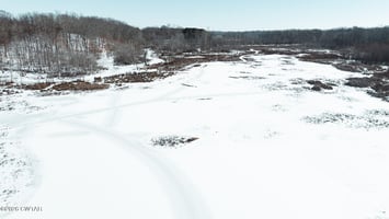 29511256