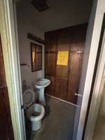 29511469