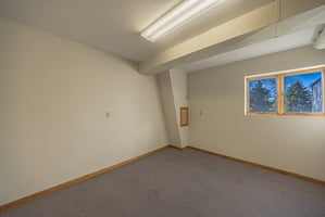 29511803