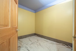 29512131
