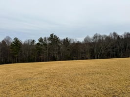 29849862