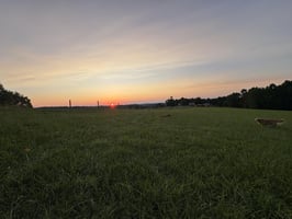 34525107