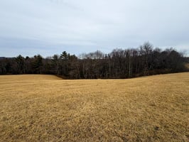 29849856