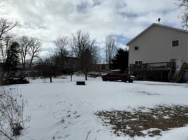 29512906