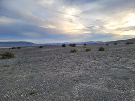 29513595