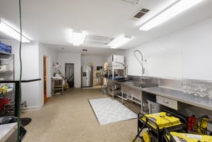 29514050