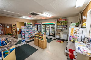 29520070