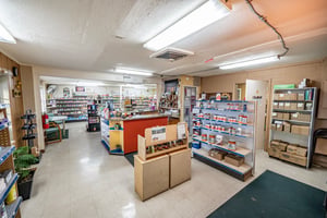 29520069