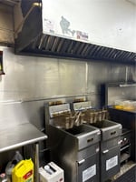29520298