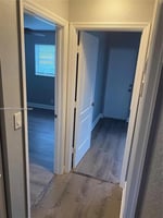 29520388