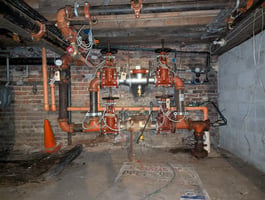 29521660