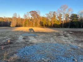 29521731