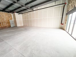 29523852