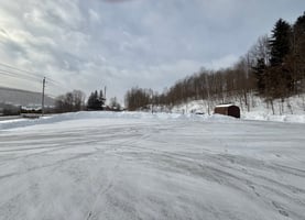 29524079