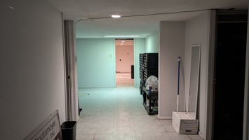 29523751