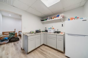 29524534