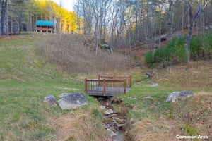 29524431
