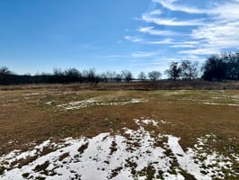 29540336