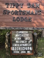 29526049