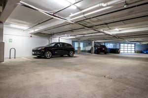 29527020
