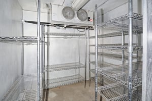 29527544