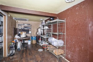 29527545