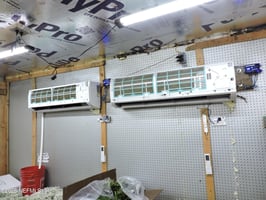 29535235