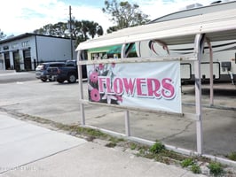 29535216