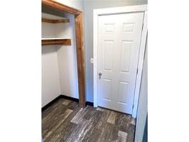 29528444