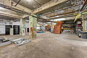 29530670