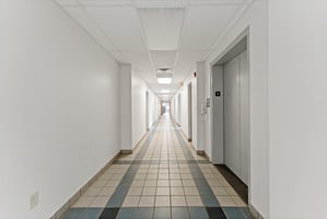 29530654
