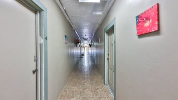 29530131