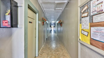 29530130