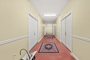 29530258