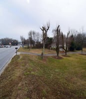 30903461