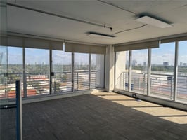 29558008