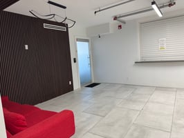 29540441